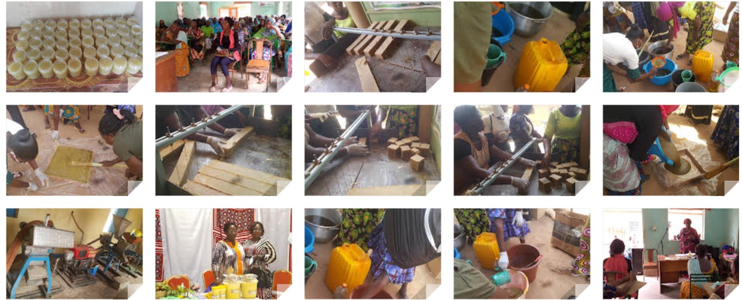 Cosmetics production training